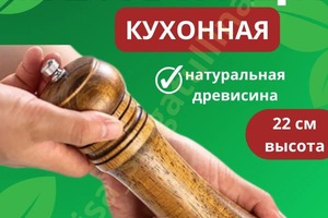 Инфографика — Сибгатуллина Алиса Айдаровна