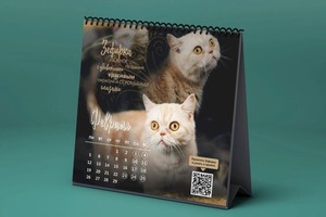 Портфолио №14 — Браун Виктория Александровна