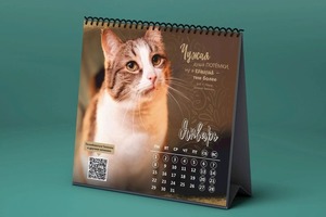 Портфолио №15 — Браун Виктория Александровна