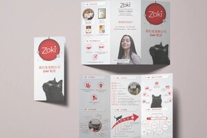 Буклет Zoki для партнёров из Китая — Браун Виктория Александровна
