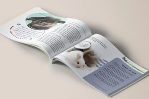 Детский журнал Zoki kids 10 — Браун Виктория Александровна