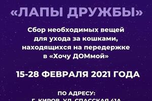 Storis для сопровождения социальной акции — Буторина Александра Константиновна