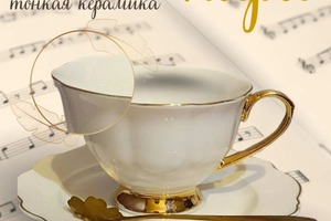 Инфографика для приставки — Казакова Мария Витальевна