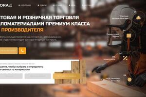 Портфолио №10 — Курочкин Артём Олегович