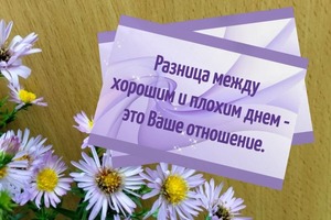 Портфолио №4 — Липовцева Наталья Васильевна