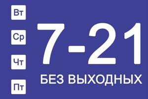 Баннер — Шитова Ксения Николаевна