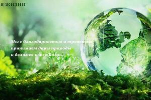 Интернет-магазин для товаров натурального происхождения — Смирнова Анастасия Евгеньевна