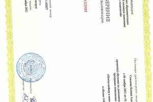 Диплом / сертификат №4 — Соколова Ксения Александровна