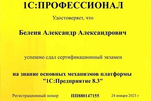 Диплом / сертификат №1 — Беленя Александр Александрович