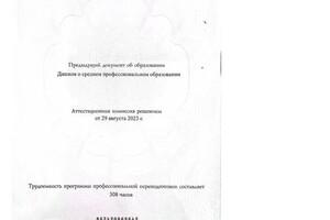 Диплом / сертификат №2 — Каримова Альбина Викторовна