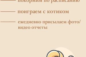 Портфолио №10 — Лесниченко Оксана Александровна