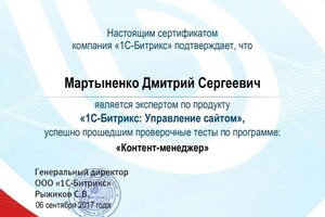 Диплом / сертификат №6 — Мартыненко Дмитрий Сергеевич