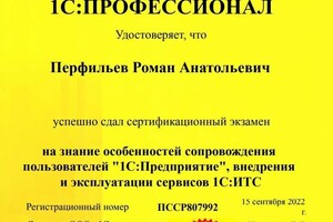 Диплом / сертификат №1 — Перфильев Роман Анатольевич