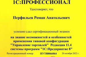 Диплом / сертификат №3 — Перфильев Роман Анатольевич