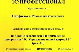 Диплом / сертификат №4 — Перфильев Роман Анатольевич