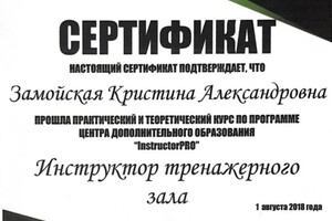 Диплом / сертификат №4 — Замойская Кристина Александровна