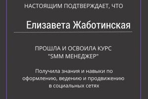 Диплом / сертификат №1 — Жаботинская Елизавета Романовна