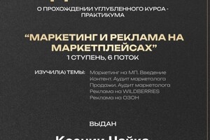 Диплом / сертификат №4 — Чайка Ксения Викторовна