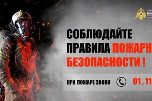Баннер — Човжик Павел Григорьевич