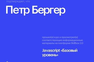 Диплом / сертификат №2 — Бергер Петр Борисович