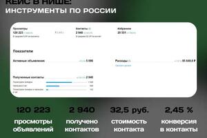 Кейс в нише: Инструмент по России(авитолог). — Бурдюг Кирилл Александрович