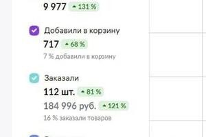 Ведение магазина, проделана комплектная работа и вывод товара в топ — Чекан Анастасия Игоревна