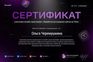 Диплом / сертификат №3 — Черемушкина Ольга Романовна