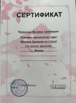 Диплом / сертификат №3 — Черкасова Валерия Алексеевна