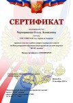 Диплом / сертификат №14 — Чернорицкая Ольга Леонидовна