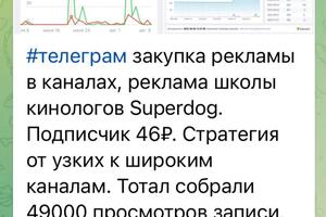 Закупка рекламы в телеграм(посевы) — Даулятова Яна Витальевна