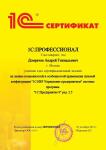 1С:Профессионал. ERP Управление предприятием ред. 2.5 — Домрачев Андрей Геннадьевич