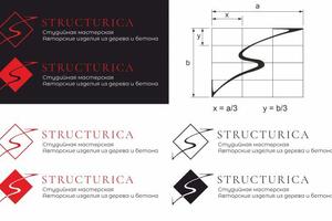 Разработка логотипа для фирмы СТРУКТУРИКА — Ефимов Никита Михайлович