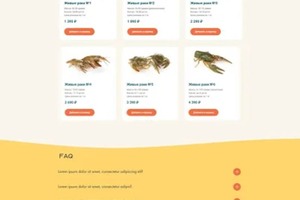 Разработка интернет магазина по продаже свежих крабов; Дизайн и верстка на Tilda — Ефремова Евдокия Николаевна