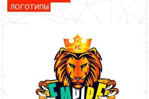 EMPIRE FC. Футбольная школа — Ващенко Дмитрий Викторович