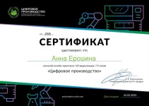 Диплом / сертификат №1 — Ерошина Анна Сергеевна