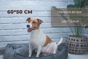 Портфолио №60 — Федосеева Ирина Андреевна