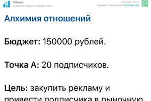 Цель: закупить рекламу на весь бюджет и привести подписчика в рыночную цену. Цель выполнена, монетизация канала... — Ильин Сергей Андреевич