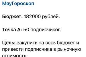 У клиента был канал с 50 подписчиками. Цель закупить рекламу на весь бюджет и открыть продажи рекламы. Подписчик был... — Ильин Сергей Андреевич