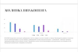 Аналитика нынешней ситуации в SMM-продвижении — Каминская Наталья Алексеевна