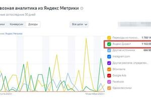 Яндекс директ, Яндекс метрика — Кокодеева Дарима Эрдэмовна