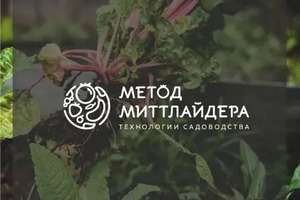 Горизонтальная версия логотипа \