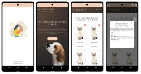 Android приложение поиска дома для домашних животных из приюта — Копанья Мирьяна