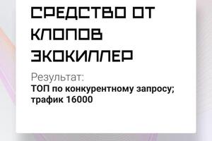 SEO для бренда Средства от клопов рост трафика в 7 раз (до 500 в день) — Котенков Максим Евгеньевич