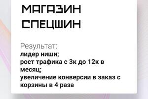 Продвижение магазина спец. шин 2 с нуля с нуля до 600 коммерческих визитов в неделю — Котенков Максим Евгеньевич