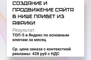 Задача: создать сайт для получения заявок в нише видеопоздравлений из Африки; Создание сайта; На этапе разработки сразу... — Котенков Максим Евгеньевич