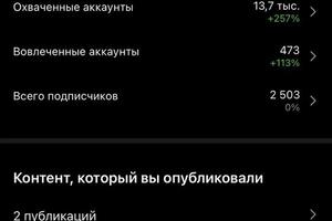 Статистика после сторитейлинга, а так же стильно оформленных сторис. — Ковальчук Людмила Андреевна