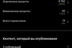 Статистика после запуска двух рекламных аккаунтов. — Ковальчук Людмила Андреевна