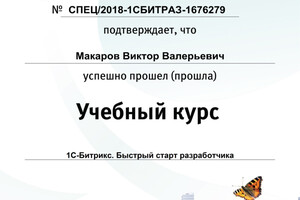 Сертификат о прохождении курса обучения — Макаров Виктор Валерьевич