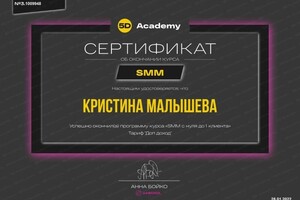 Диплом / сертификат №2 — Малышева Кристина Александровна