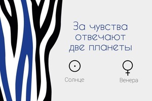 Портфолио №91 — Мележикова Арина Сергеевна